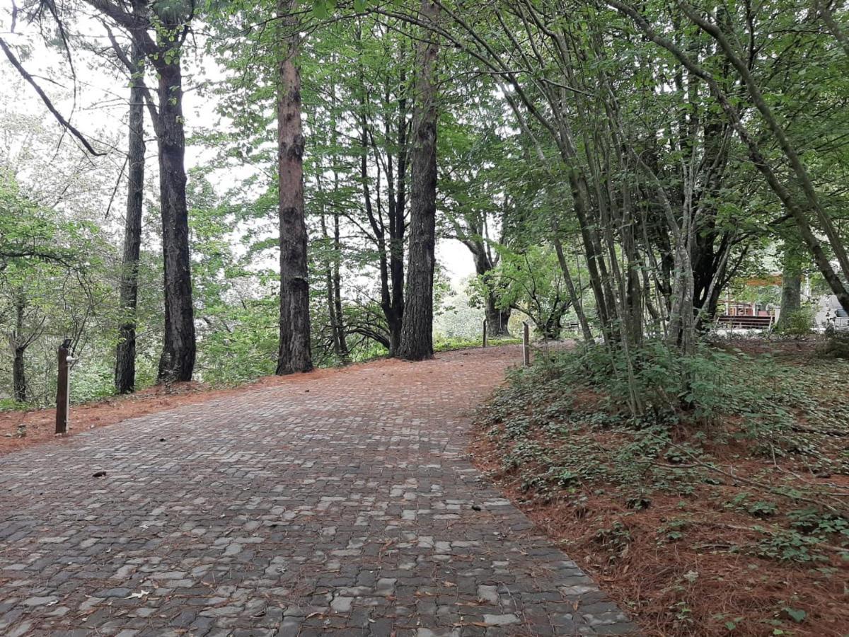 Camroshell Otel Hogsback Dış mekan fotoğraf