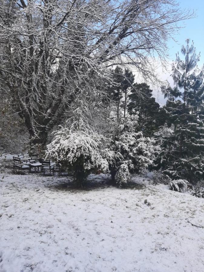 Camroshell Otel Hogsback Dış mekan fotoğraf