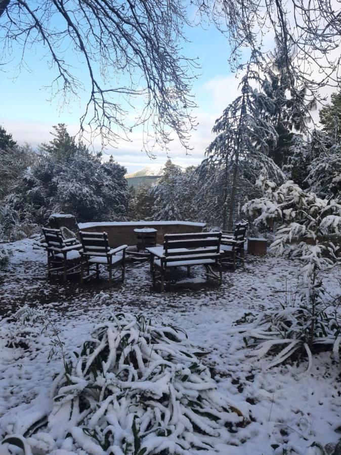 Camroshell Otel Hogsback Dış mekan fotoğraf