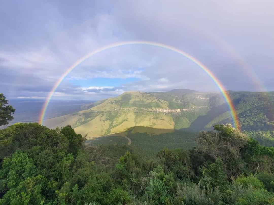 Camroshell Otel Hogsback Dış mekan fotoğraf